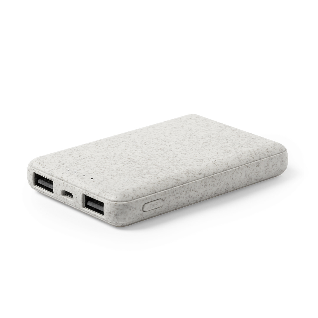 Power Bank Shiden