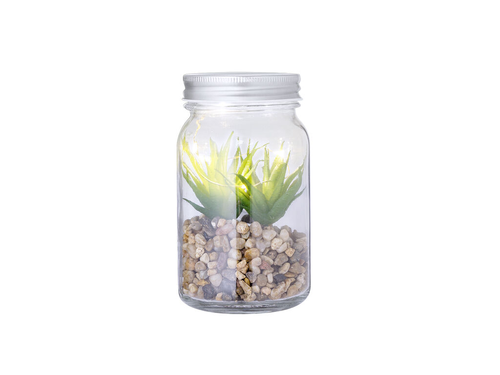 Planta Decorativa Kyala