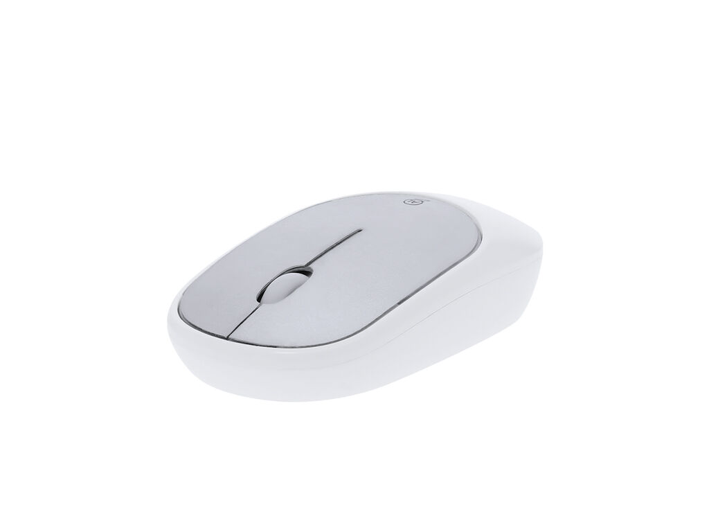 Rato Doryt RCS